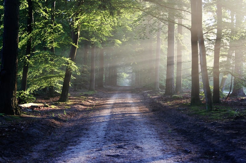 Black Forest, Germany