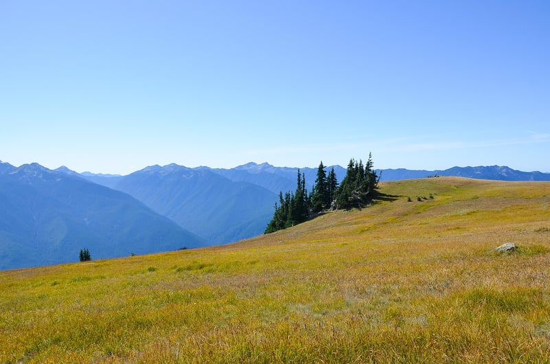Olympic National Park, Washington
