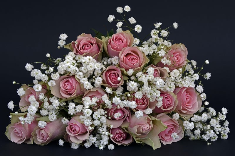 Rose Bloom Wedding