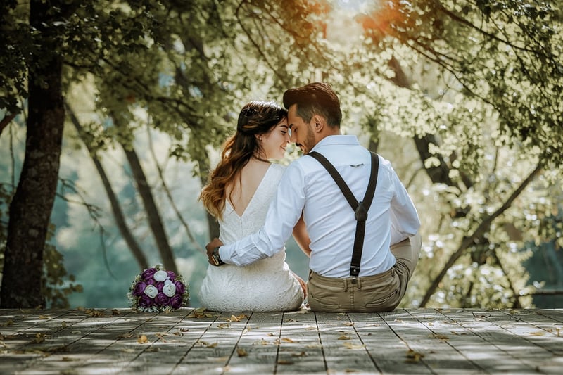 Wedding Dress Bride Groom